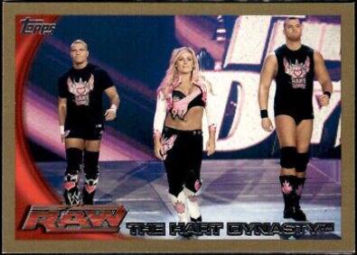 Tyson Kidd [Gold] #19