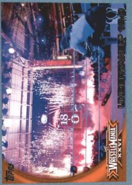 Undertaker [Blue] #73