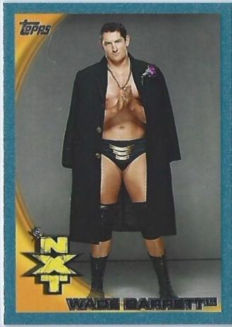 Wade Barrett [Blue] #67