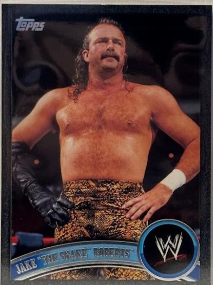 Jake The Snake Roberts [Black] #96