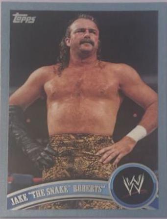 Jake The Snake Roberts [Blue] #96