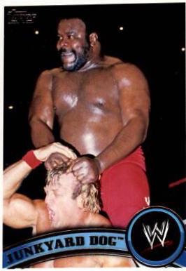 Junkyard Dog #109