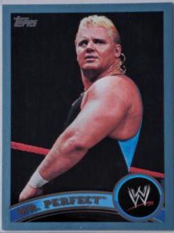 Mr. Perfect [Blue] #93