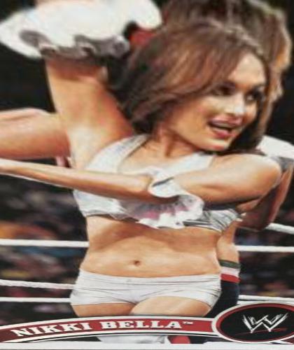 Nikki Bella #37