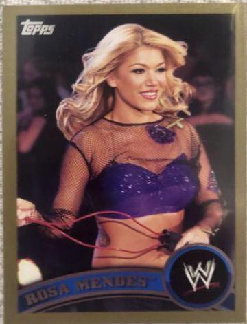 Rosa Mendes [Gold] #71