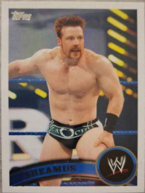 Sheamus #44
