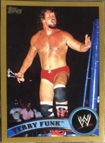 Terry Funk [Gold] #108