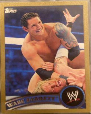 Wade Barrett [Gold] #4