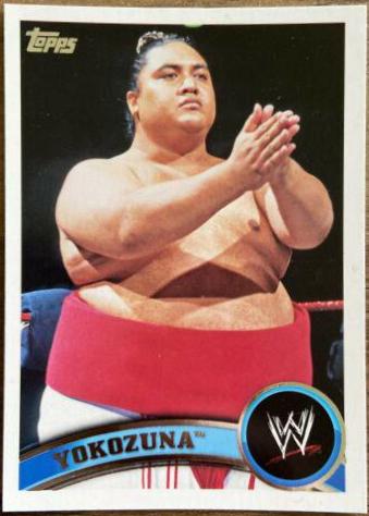Yokozuna #102