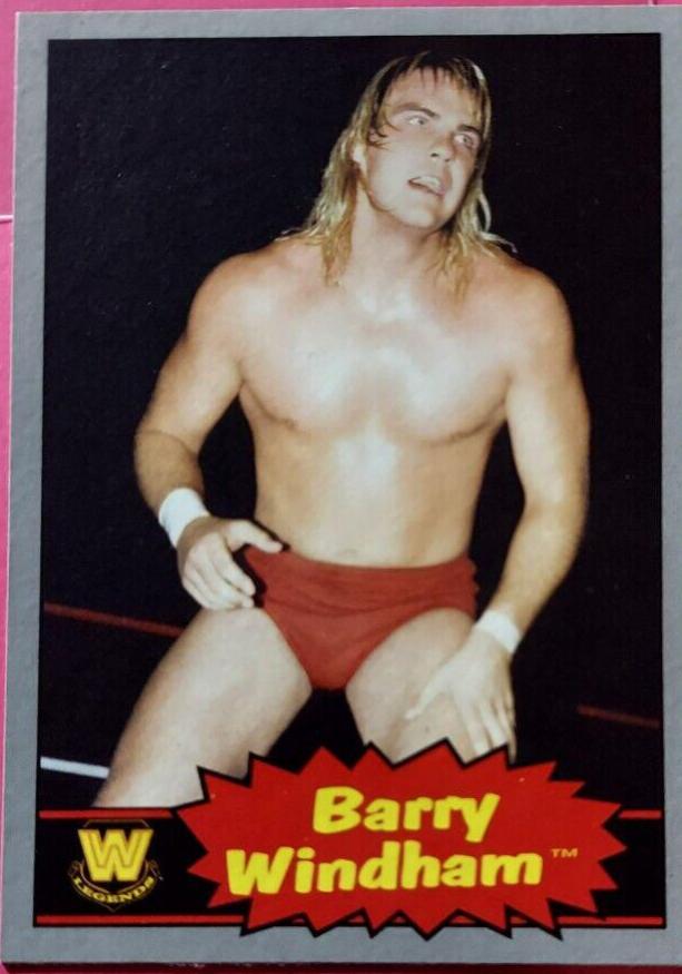 Barry Windham [Silver] #60