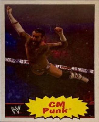CM Punk #12