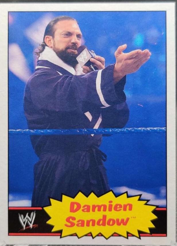 Damien Sandow #14