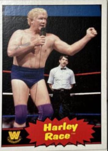 Harley Race #78