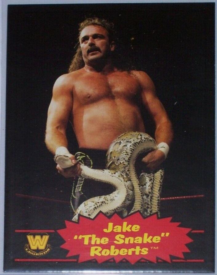 Jake The Snake Roberts [Black] #83
