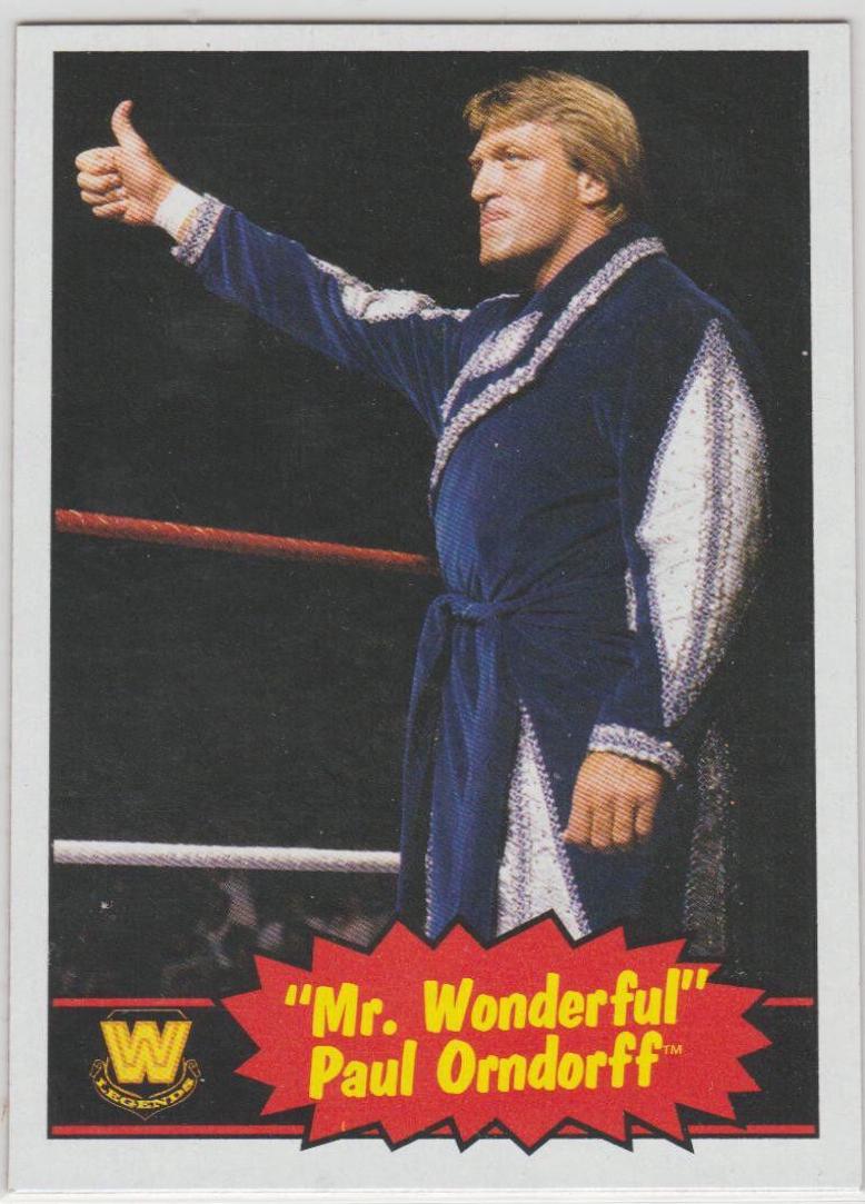 Paul Mr. Wonderful Orndorff #93