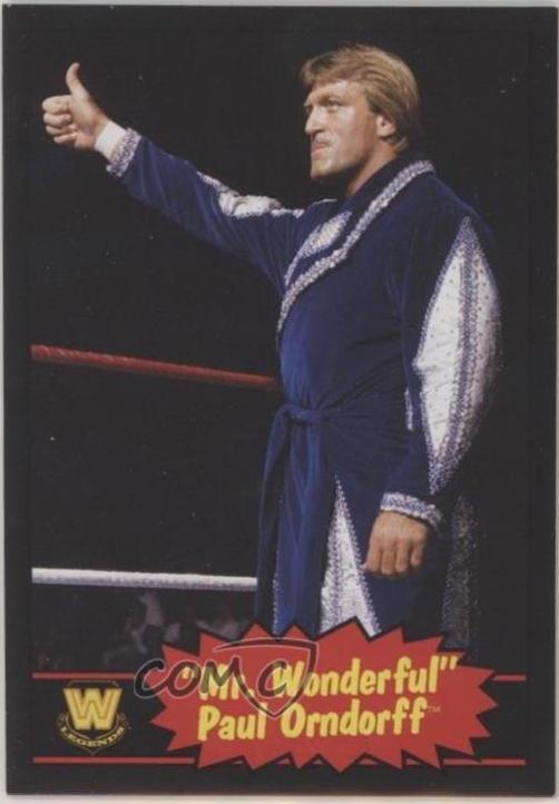 Paul Mr. Wonderful Orndorff [Black] #93