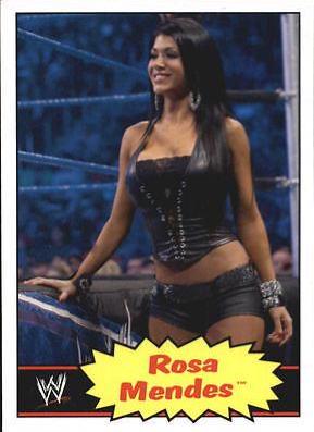 Rosa Mendes #34