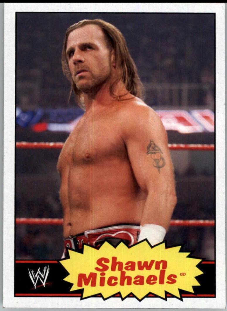 Shawn Michaels #53