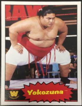 Yokozuna #110