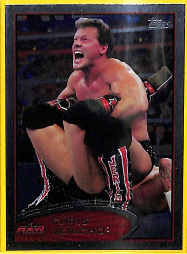 Chris Jericho [Silver] #49