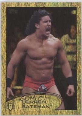Derrick Bateman [Gold] #31