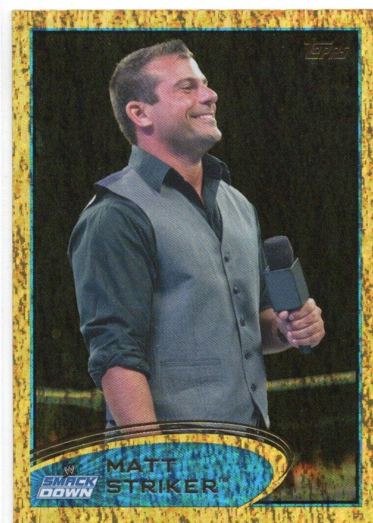 Matt Striker [Gold] #24