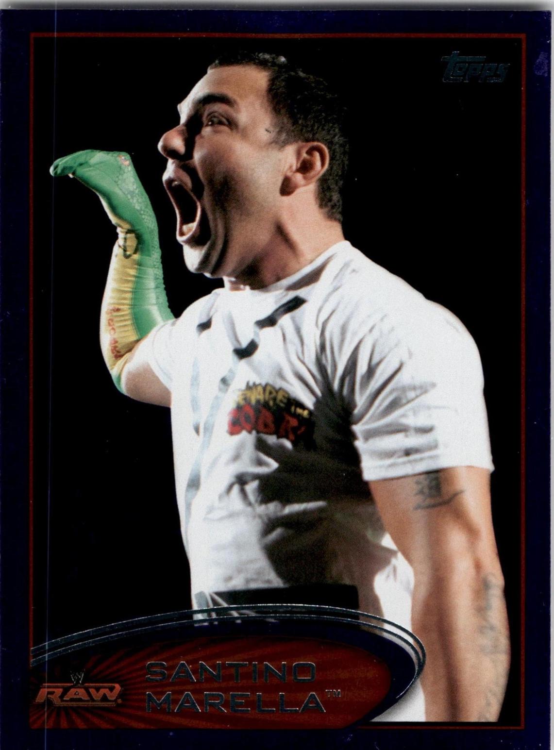 Santino Marella [Purple] #85