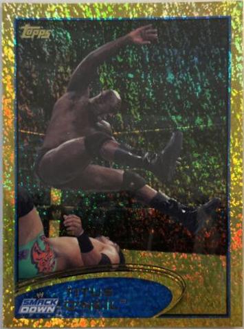 Titus O'Neil [Gold] #54