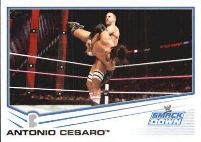Antonio Cesaro #47