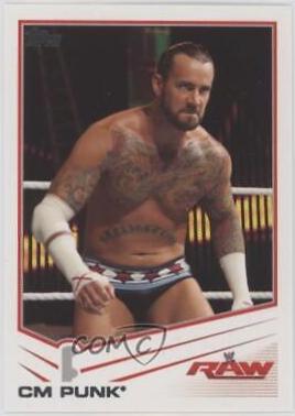 CM Punk #8
