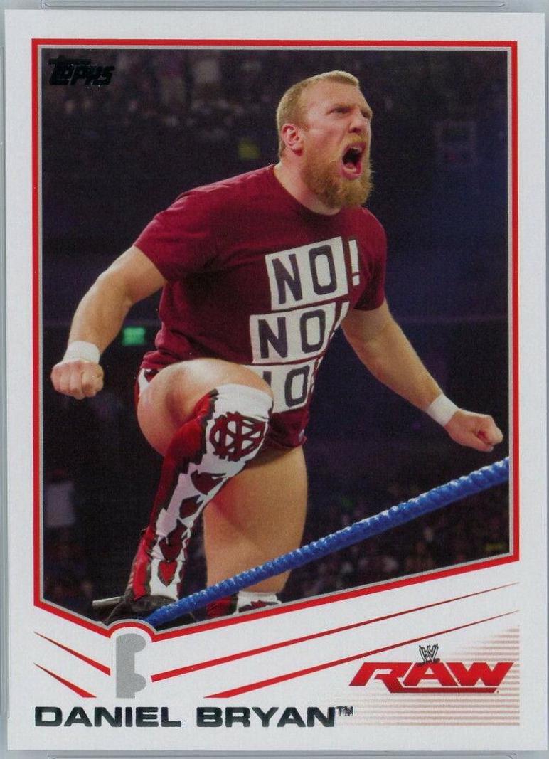 Daniel Bryan #9