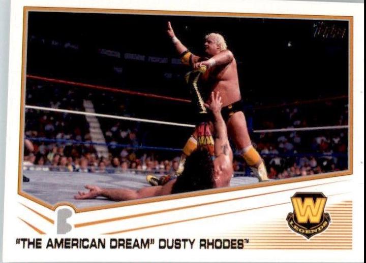 Dusty Rhodes #85
