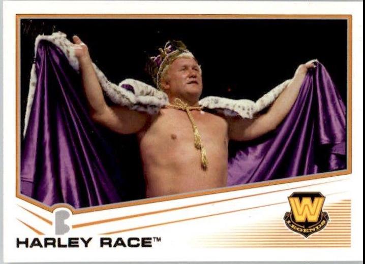 Harley Race #93