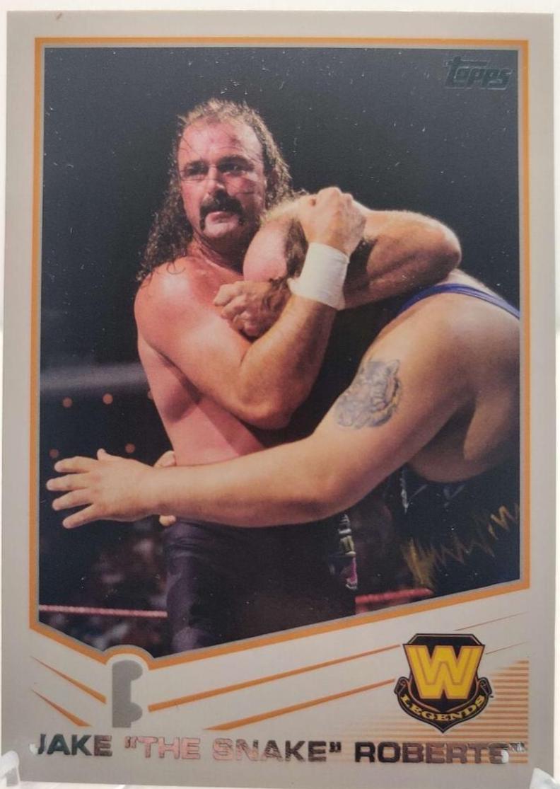 Jake The Snake Roberts #95