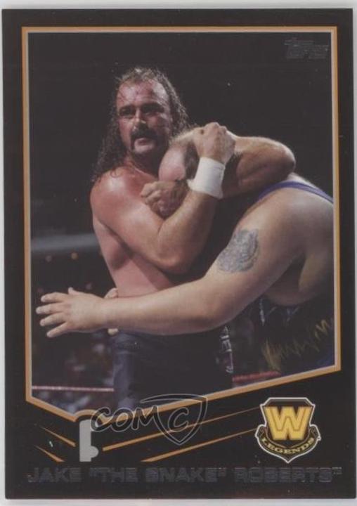 Jake The Snake Roberts [Black] #95