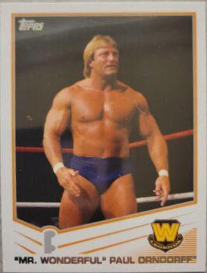 Paul Mr. Wonderful Orndorff #100