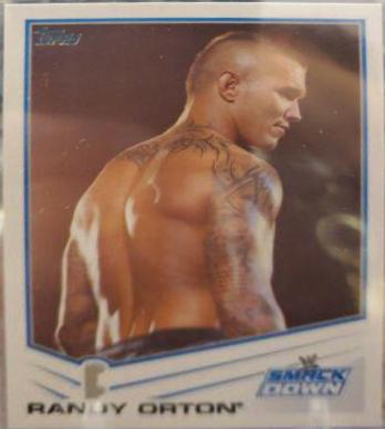 Randy Orton #73