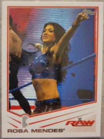 Rosa Mendes #34