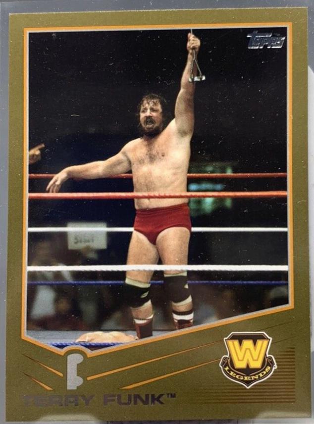 Terry Funk [Gold] #106