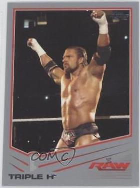 Triple H [Silver] #41