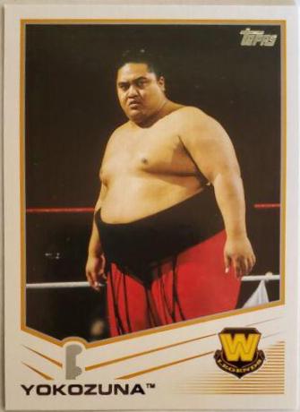 Yokozuna #110