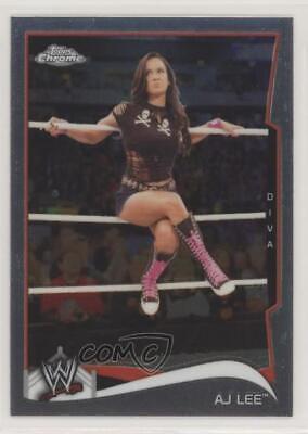 AJ Lee #1