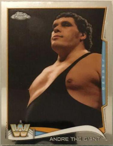Andre the Giant #96