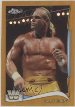 Billy Gunn [Gold] #97