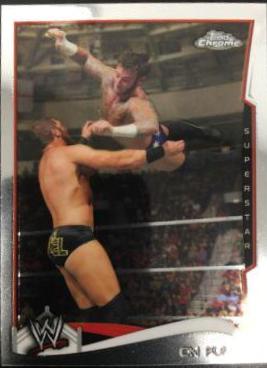 CM Punk #12