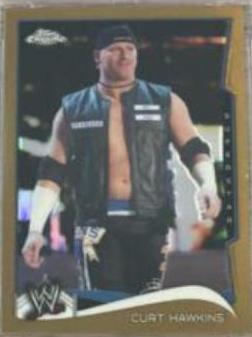 Curt Hawkins [Gold] #63