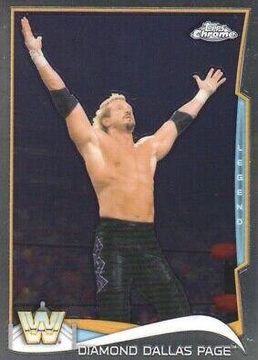 Diamond Dallas Page #99