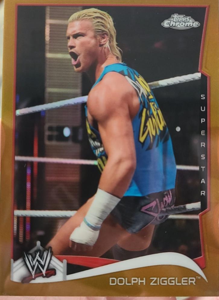 Dolph Ziggler [Gold] #18