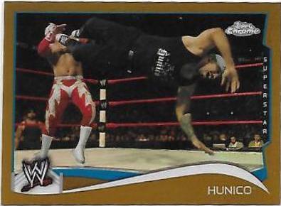 Hunico [Gold] #71