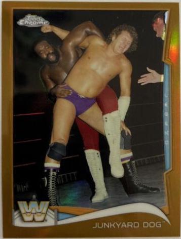 Junkyard Dog [Refractor] #103
